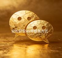 轻松获取wx号联系方式，畅享社交新体验